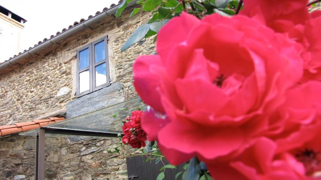 아주아 Casa Lucas 게스트하우스 외부 사진